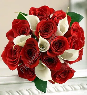 Букет из красных роз и белых калл купить с бесплатной доставкой в Москве по  цене 6 840 руб.