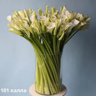 Букет из калл в вазе - заказать доставку цветов в Москве от Leto Flowers