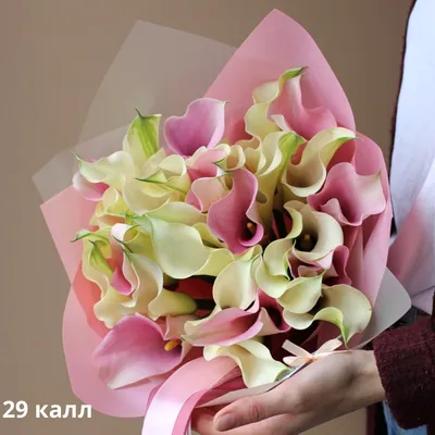 Букет из калл разных цветов - заказать доставку цветов в Москве от Leto  Flowers