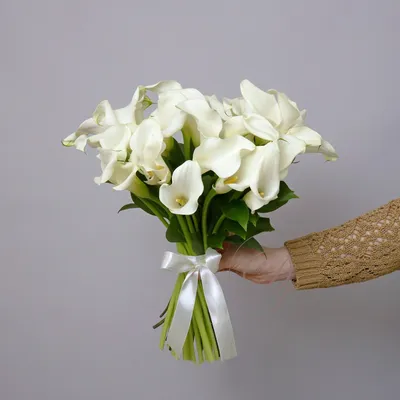 Каллы букет купить | Доставка цветов Москва | Интернет-магазин  dakotaflora.com