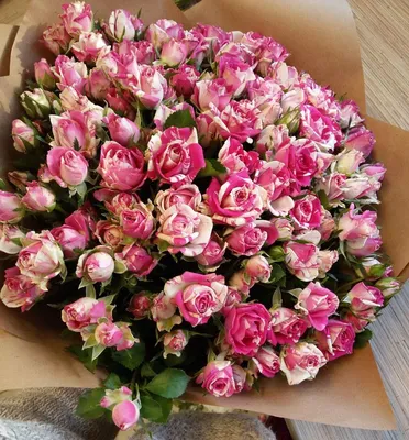 11271 руб - Купить букет из 51 кустовой розы в СПб
