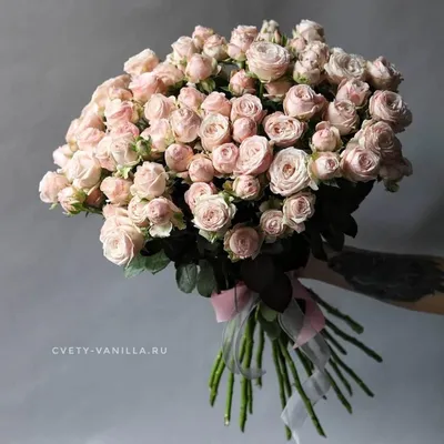 Купить Букет из 25 пионовидных кустовых роз в Краснодаре