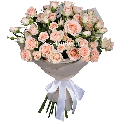 Букет из 11 кустовых роз» - купить во Владимире за 4 100 руб