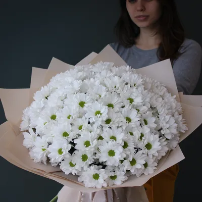LEPESTKI - Доставка цветов во Владивостоке. Купить «Букет Ромашек XL» за  9700 рублей