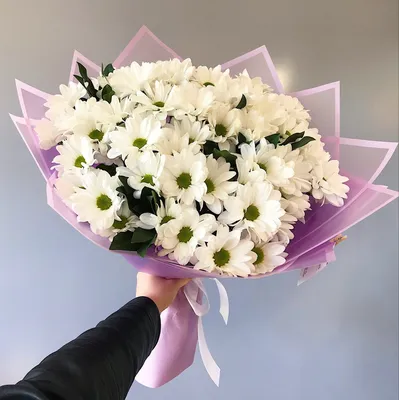 Букет ромашек - доставка цветов по Феодосии, Коктебель