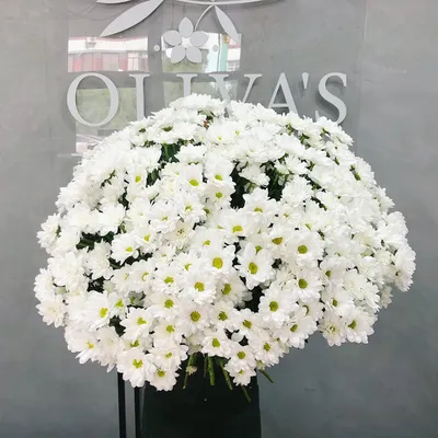Огромный букет ромашек \"Ромашковое Поле\" - Доставка цветов Феодосия - Цветы  Oliva's