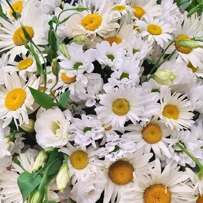 Букет ромашек с хризантемой и лизиантусом (эустома) купить с доставкой в СПб