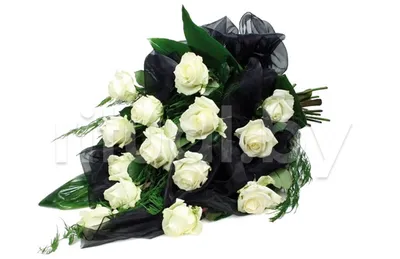 Букет на похороны \"Белая роза\" (V113) - купить в RITUAL.BY (V113)