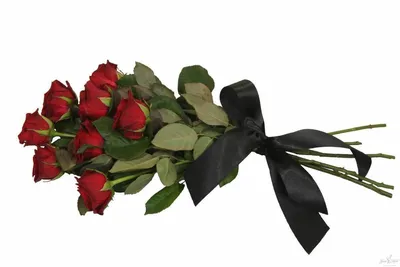 Какие цветы кладут на похороны: выбрать живые или искусственные, сколько  цветов нужно нести