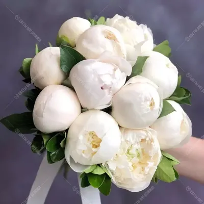 Купить Букет невесты 11 белых пионов недорого в Барнауле | Заказать с  доставкой в интернет-магазине Цветы Опт Розница