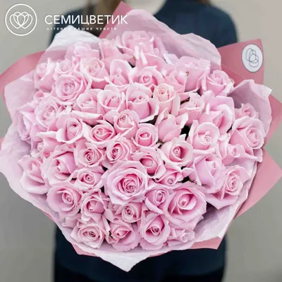 51 нежно-розовая роза (Россия) 35 см Пинк купить в СПб в интернет-магазине  Семицветик✿