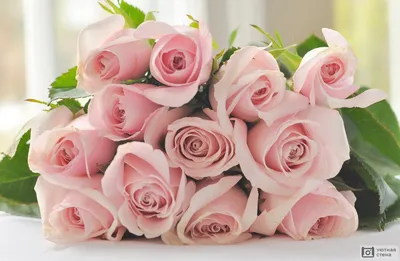 Букет нежных розовых роз - 69 фото