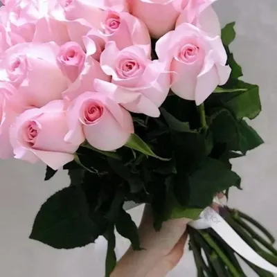 Букет из 25 нежно-розовых роз на ленте, Цветы и подарки Западный, купить по  цене 5990 руб, Монобукеты в Fortel Gorka с доставкой | Flowwow