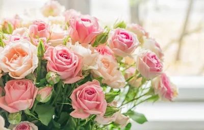 Обои розы, букет, нежные, розовые, бежевые, Yarovoy Aleksandr картинки на  рабочий стол, раздел цветы - скачать