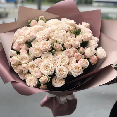 Заказать цветы Нежный букет из кустовой пионовидной розы с доставкой по  Беларуси | Happybee.by