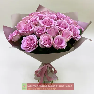 Купить Букет из 25-и нежных роз (Розы) по цене 1 руб. Круглосуточная  доставка по Москве и МО