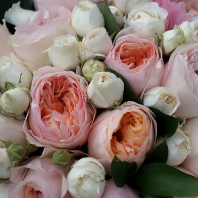 Нежный букет из 19 роз в пастельной гамме по цене 5676 руб. заказать с  доставкой по Москве - свежие цветы от интернет-магазина \"Во имя розы\"