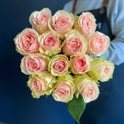 Купить Букет из 15 нежных роз в Южно-Сахалинске по цене 3 735 ₽ с доставкой
