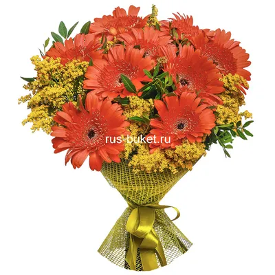 Осенний букет (+30% цветов)» с герберами - купить в Самаре за 3 840 руб