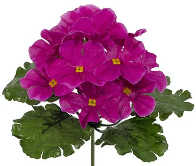 Купить Искусственные цветы ФИАЛКИ, 6 веточек высотой 25 см, цвет МИКС /  Букет искусственных фиалок / Декоративные растения по выгодной цене в  интернет-магазине OZON.ru