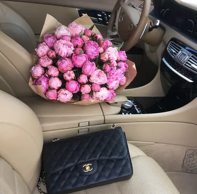 фото цветов в машине
