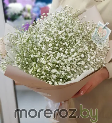 Букет из гипсофилы • MoreRoz.By Тренд сезона!