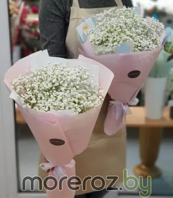 Букет-комплимент из белой гипсофилы • MoreRoz.By