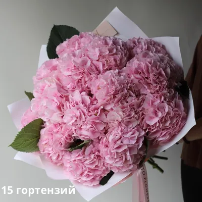 Букет из розовых гортензий - заказать доставку цветов в Москве от Leto  Flowers