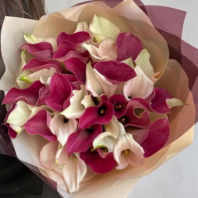 Букет из калл WOW эффект, Flowers \u0026 Gifts Moscow, buy at a price of 39100  RUB, Mono Bouquets on James Flowers with delivery | Flowwow