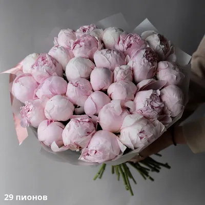 Букет из нежно-розовых пионов - заказать доставку цветов в Москве от Leto  Flowers