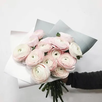 Букет Ранункулюсов купить в Москве с доставкой недорого – id 2835 | Roses  Delivery