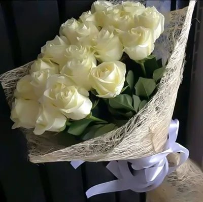 Белые розы дома - 75 фото
