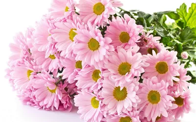 Красивые букеты цветов разбудят Ваши самые светлые эмоции! - Flowers.ua