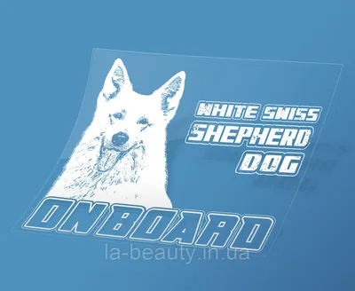 Наклейка на машину/авто Белая швейцарская овчарка (БШО) на борту (White  Swiss Shepherd Dog on Board): продажа, цена в Киеве. Наклейки для  транспорта от \"PR \u0026 Design Studio LA BEAUTY\" - 1334245984
