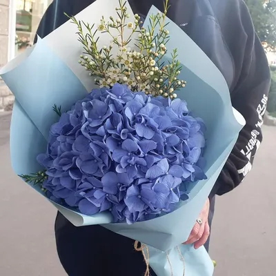 Букет с гортензией и ваксфлауэр - Доставкой цветов в Москве! 56353 товаров!  Цены от 487 руб. Цветы Тут