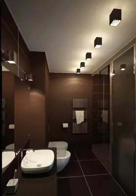 Туалет в коричневых тонах - 71 фото