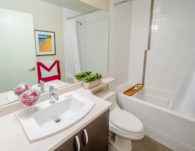 Дизайн ванной комнаты площадью 3 кв метра: 100+ реальных фото примеров |  Ванная комната, Ванная, Дизайн ванной комнаты