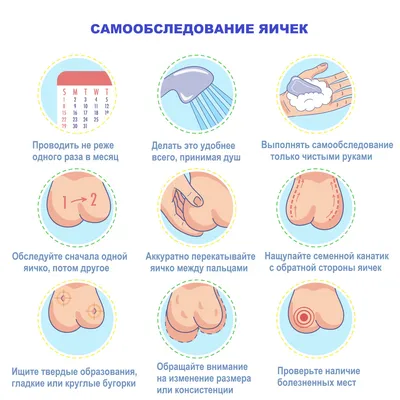 Врач-уролог рассказал, как заботиться о мужском здоровье, избежать  бесплодия и зачем делать анализ спермы - 21 января 2023 - e1.ru
