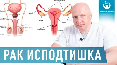 Клиника «Эл. Эн.» оказывает услуги по лечению водянки яичка у мужчин.|в  Москве