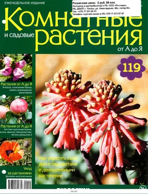 Купить Комнатные и садовые растения от А до Я № 119 в Минске в Беларуси в  интернет-магазине OKi.by с бесплатной доставкой или самовывозом