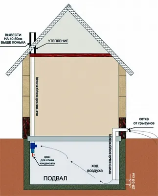 Кран для слива конденсата при организации вентиляции в подвале | Погреб,  Организация гаража, Дом