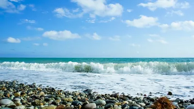 Морская вода на побережье Абхазии безопасна | ОТДЫХ в АБХАЗИИ - ЖИЛЬЁ,  ЭКСКУРСИИ, ТРАНСФЕР, ТУРЫ