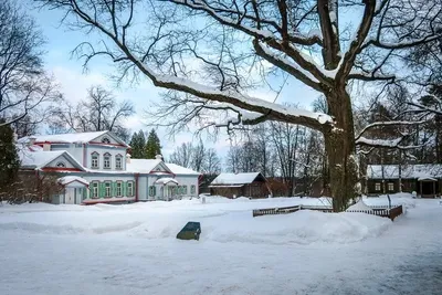 Вековой Дуб в музее-заповеднике Абрамцево - Достопримечательность