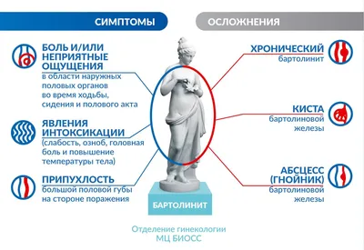 Вскрытие абсцесса бартолиновой железы, лечение бартолинита, цены в Москве в  сети клиник Медок