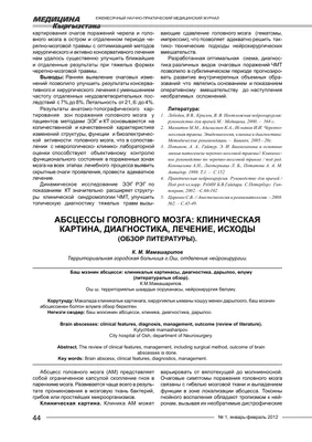 абсцесс мозга. абсцесс головного мозга. поперечный участок человеческого  мозга с интрацеребральной коллекцией толкача Иллюстрация вектора -  иллюстрации насчитывающей концепция, раздел: 250683144