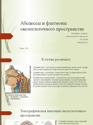Удаление зуба в Москве ☆ лечение кисты и флюса ✓ панорамный 3D снимок  зубов, цена, отзывы
