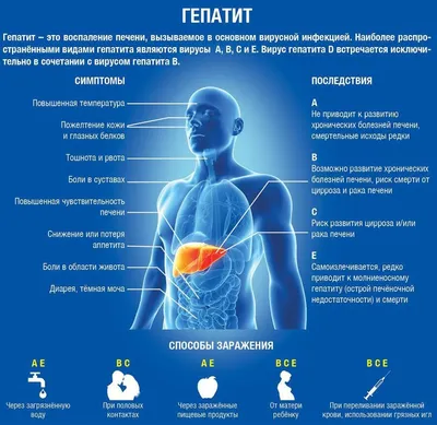 Признаки и симптомы заболеваний печени, меры профилактики