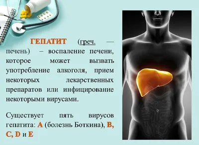 Что-то в печени. - Страница 2 - Болезни желудочно-кишечного тракта -  Судебная медицина от Forens.ru