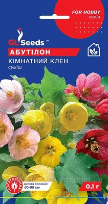 Абутилон Комнатный Клён смесь эффектный компактный неприхотливый кустарник  Abutilon, упаковка 0,1 г: продажа, цена в Обухове. Семена и клубни трав и  цветов от \"Агро-магазин \"СВІТЛЯЧОК В.А.М.\"\" - 745167301