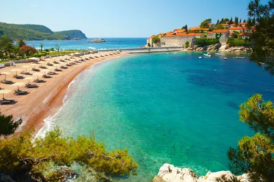 Какое море в Черногории: температура воды, прибрежная линия, чистота,  местные морские обитатели